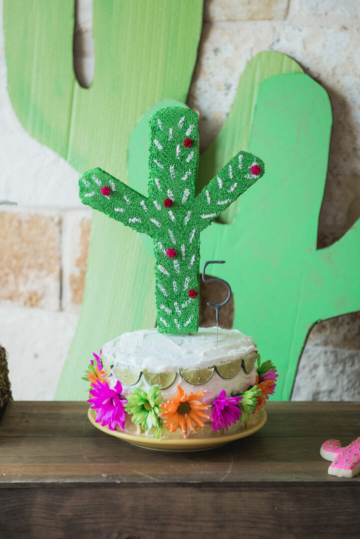 cactus birthday cake