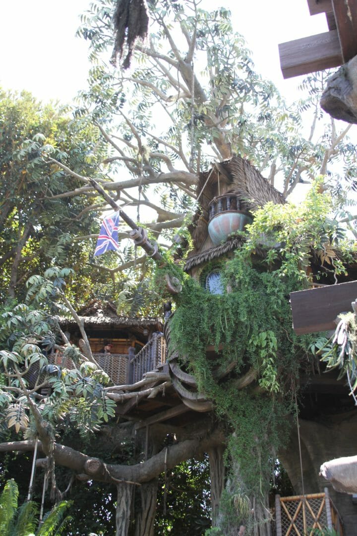 Tarzan House Disney
