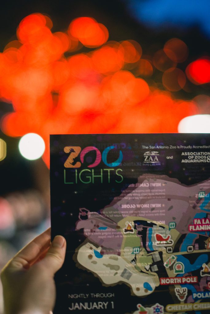 sa-zoo-lights-2016-4