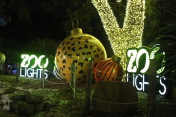 san antonio zoo lights